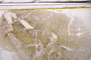 Plane Polarized, E35938