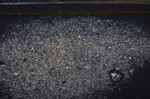 Cross Polarized, E35943