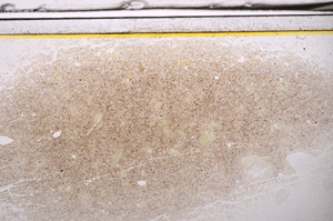 Plane Polarized, E35943