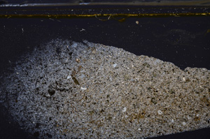 Cross Polarized, E35952