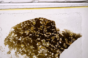 Plane Polarized, E35958