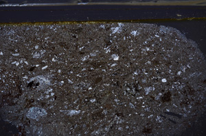 Cross Polarized, E35960