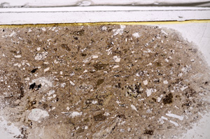 Plane Polarized, E35960