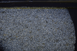 Cross Polarized, E35962