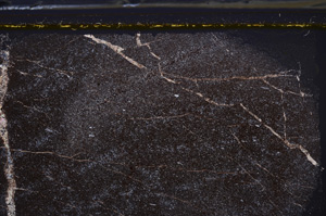 Cross Polarized, E35966