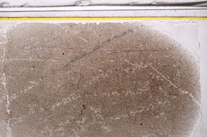 Plane Polarized, E35966