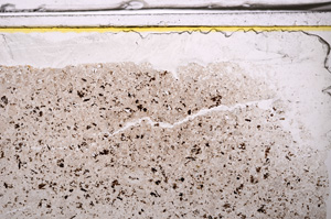 Plane Polarized, E35970