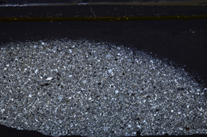 Cross Polarized, E35972