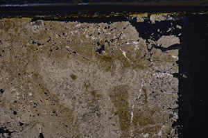 Cross Polarized, E35980