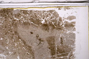 Plane Polarized, E35980