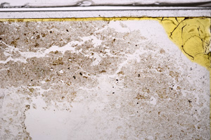 Plane Polarized, E35982