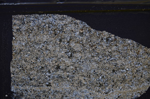 Cross Polarized, E35983