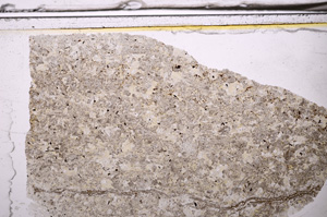 Plane Polarized, E35983