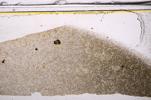 Plane Polarized, E35987