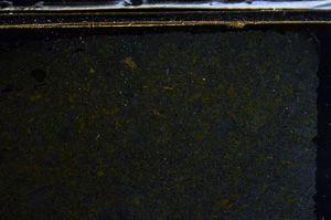 Cross Polarized, E35991