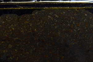 Cross Polarized, E35992
