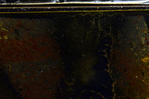 Cross Polarized, E35993