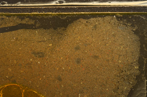 Plane Polarized, E35996