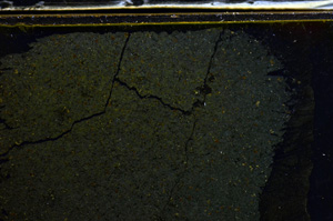 Cross Polarized, E36002