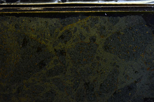 Cross Polarized, E36007