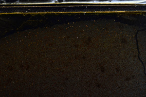 Cross Polarized, E36010