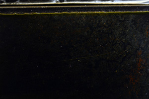 Cross Polarized, E36011