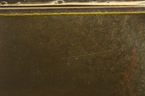 Plane Polarized, E36011