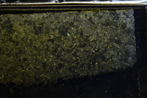 Cross Polarized, E36015