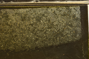 Plane Polarized, E36015