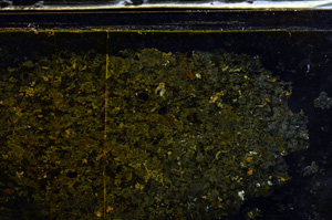 Cross Polarized, E36016