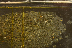 Plane Polarized, E36016