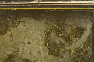 Plane Polarized, E36017