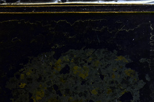 Cross Polarized, E36018