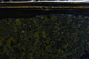 Cross Polarized, E36021