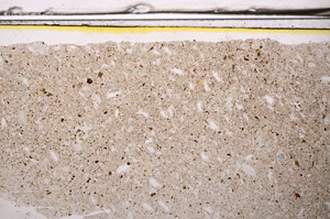 Plane Polarized, E36049