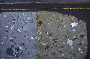 Cross Polarized, E36074
