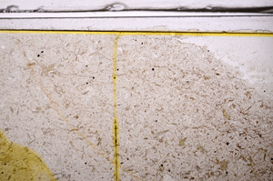 Plane Polarized, E36138