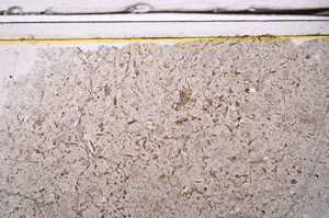 Plane Polarized, E36139