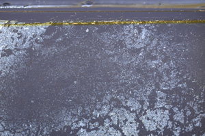 Cross Polarized, E36142