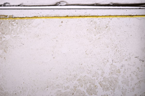 Plane Polarized, E36142