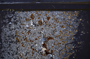 Cross Polarized, E36148