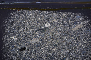 Cross Polarized, E36150