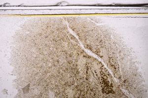 Plane Polarized, E36155