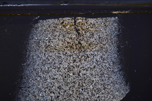 Cross Polarized, E36156