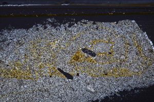 Cross Polarized, E36158