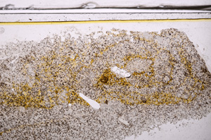 Plane Polarized, E36158