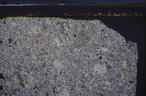 Cross Polarized, E36159