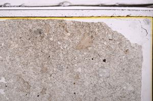 Plane Polarized, E36159