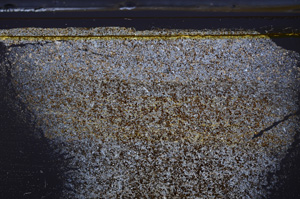 Cross Polarized, E36160