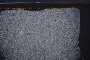 Cross Polarized, E36161